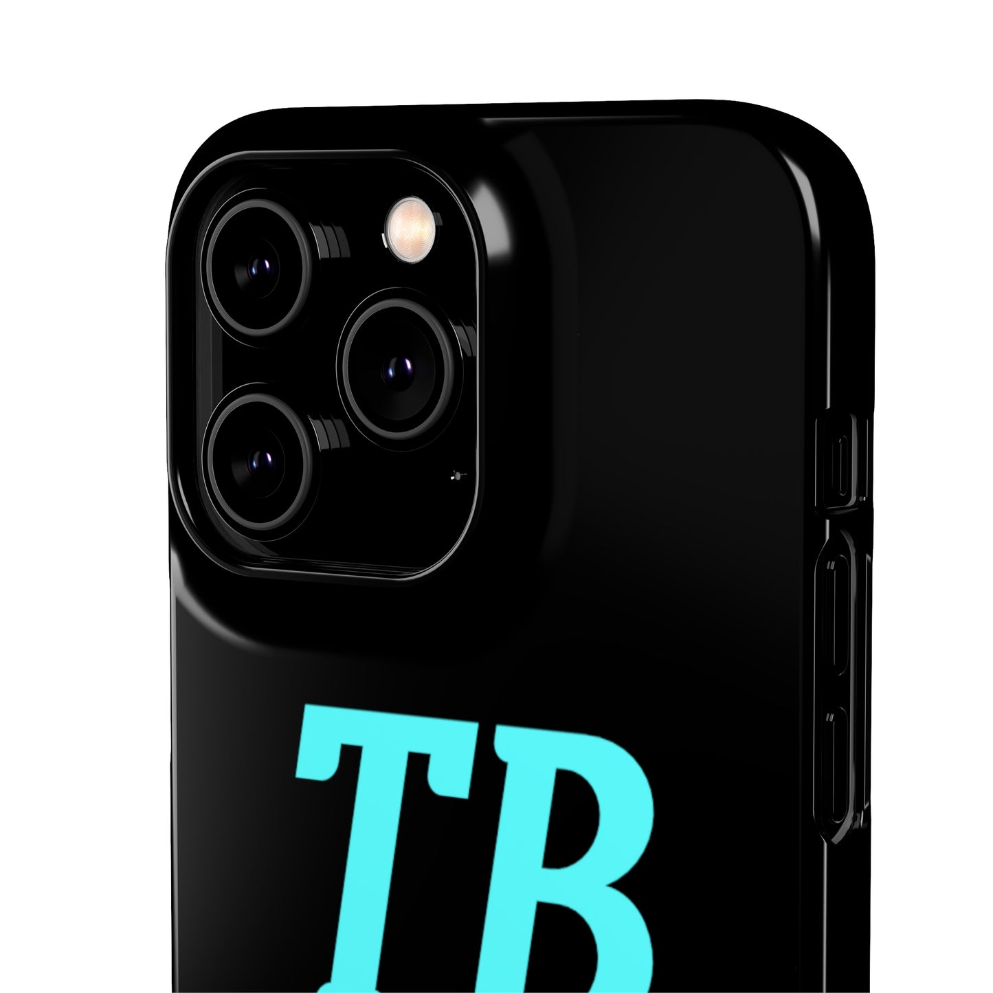 iPhone Snap Cases